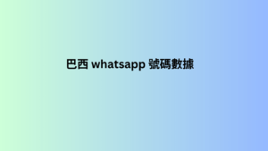 巴西 WhatsApp 號碼數據