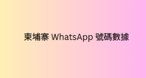 柬埔寨 WhatsApp 號碼數據