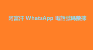 阿富汗 WhatsApp 電話號碼數據